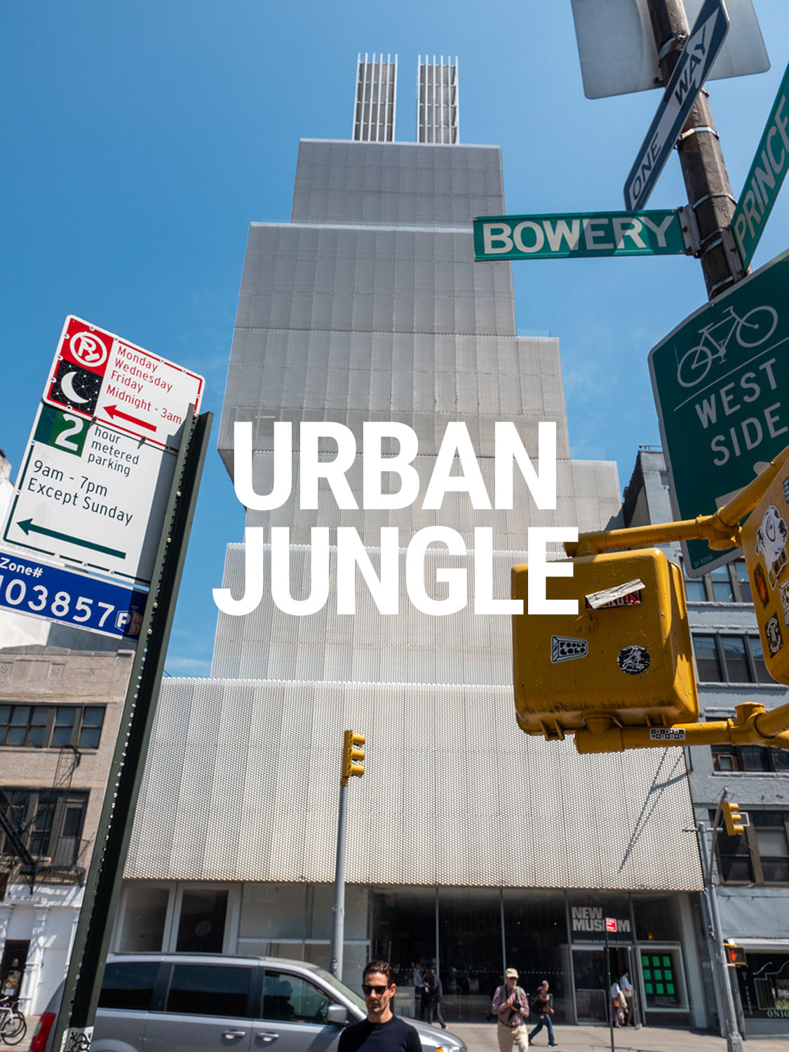 Urban Jungle